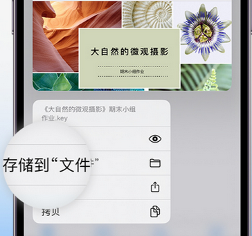 裕民apple维修中心分享iPhone文件应用中存储和找到下载文件