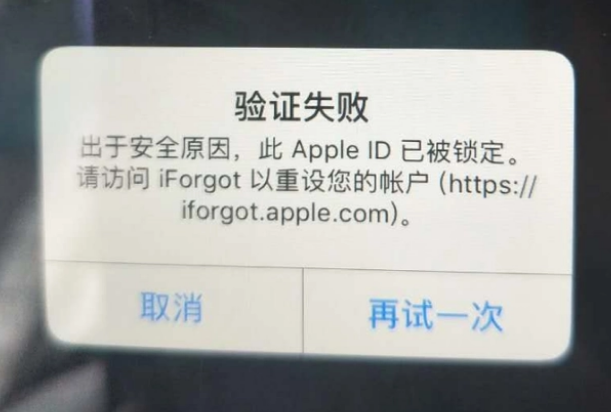 裕民iPhone维修分享iPhone上正常登录或使用AppleID怎么办 