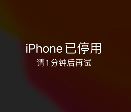 裕民苹果手机维修分享:iPhone 显示“不可用”或“已停用”怎么办？还能保留数据吗？ 