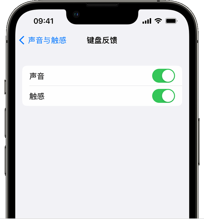 裕民苹果14维修店分享如何在 iPhone 14 机型中使用触感键盘 