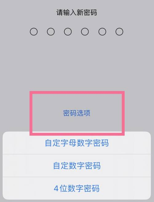 裕民苹果14维修分享iPhone 14plus设置密码的方法 