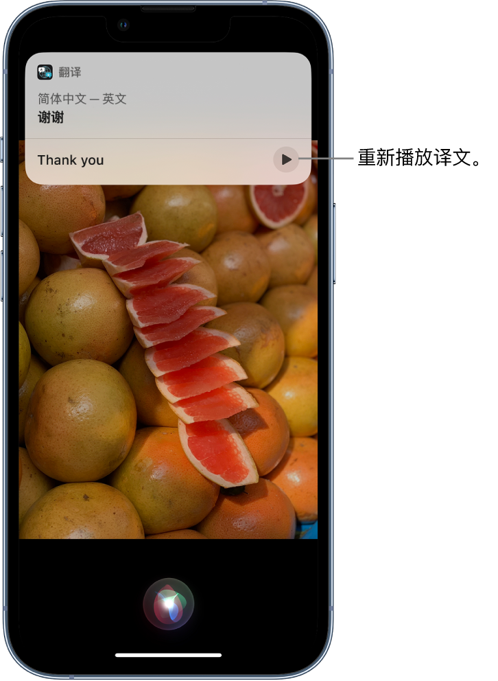 裕民苹果14维修分享 iPhone 14 机型中使用 Siri：了解 Siri 能帮你做什么 