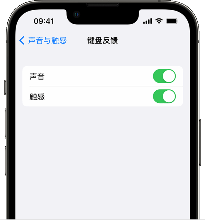 裕民苹果14维修分享iPhone 14 系列机型如何开启键盘声音或触感反馈 