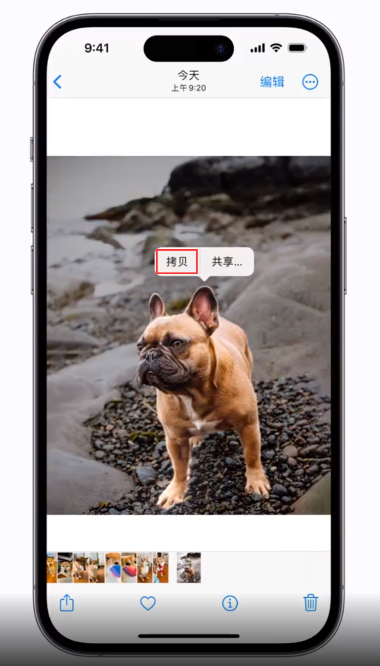 裕民苹果手机维修分享 iOS 16 自带一键抠图功能 