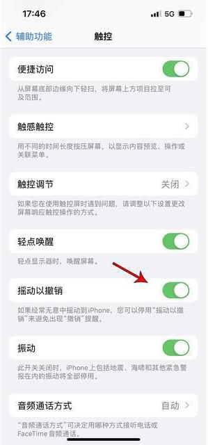 裕民苹果手机维修分享iPhone手机如何设置摇一摇删除文字 