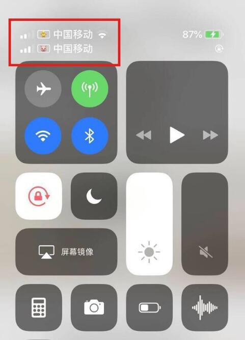 裕民苹果手机维修分享为 iPhone 12 双卡设置标签 